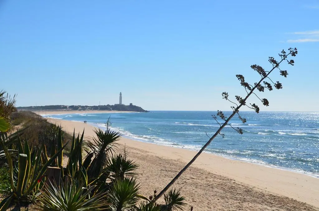 *** Campsite Bungalows Camping Canos De Meca Hotel Barbate Spain